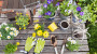 Endlich Frühling: Garten, Grill & Fahrrad fit machen | Leben & Wissen | BILD.de
